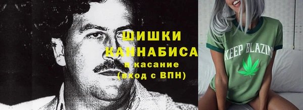ешки Аркадак
