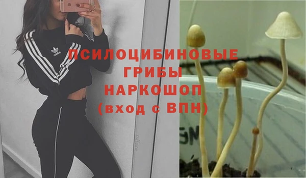 круглые Арсеньев